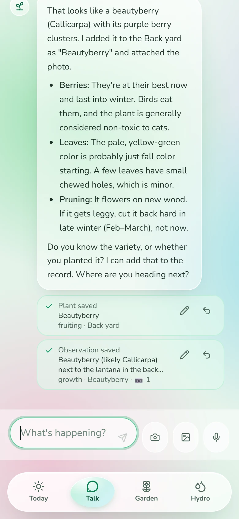 The saved cards under the reply: Plant saved, Beautyberry, Back yard; Observation saved with one photo